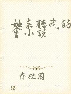 她来听我的演唱会小说