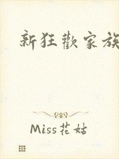 新狂欢家族小说