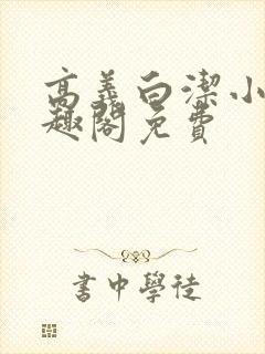 高义白洁小说笔趣阁免费