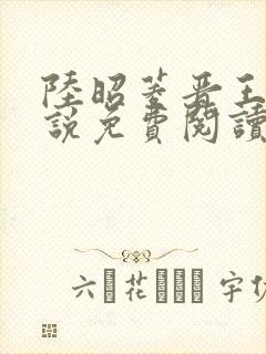 陆昭菱晋王的小说免费阅读