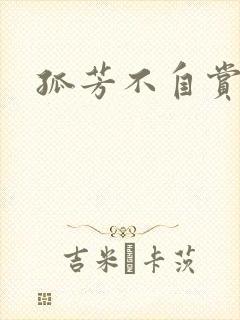 孤芳不自赏小说