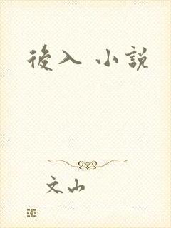 后入 小说
