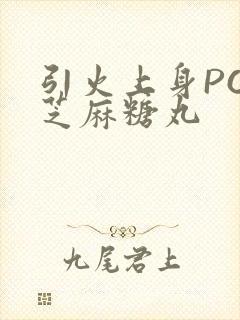 引火上身POP芝麻糖丸