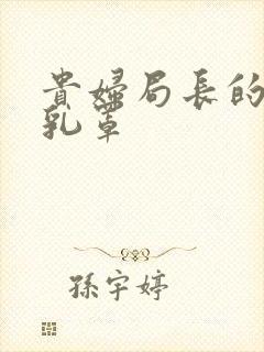 贵妇局长的蕾丝乳罩