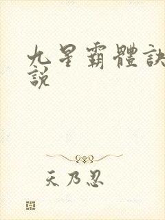 九星霸体诀 小说