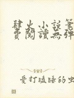 肆火小说笔趣免费阅读无弹窗