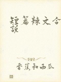 短篇辣文合集小说