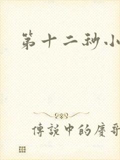 第十二秒小说