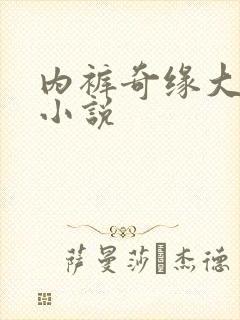 内裤奇缘大团结小说