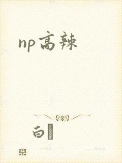 np高辣