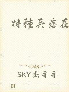 特种兵痞在都市