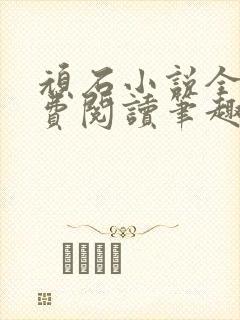 顽石小说全文免费阅读笔趣阁