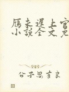 雁未迟上官穿越小说全文免费阅读