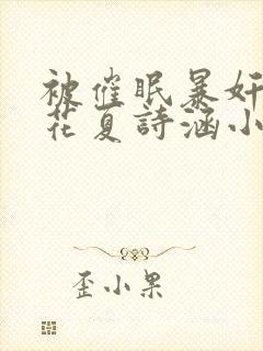 被催眠暴奸的校花夏诗涵小说