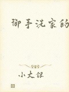 御手洗家的墙洞