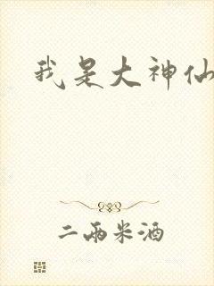 我是大神仙小说