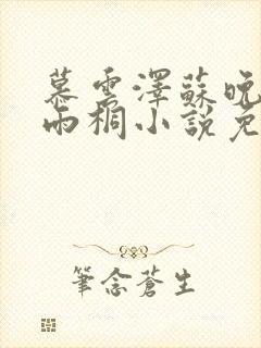 慕云泽苏晚晴夏雨桐小说免费阅读