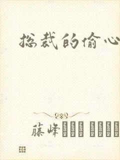 总裁的偷心娇妻封面