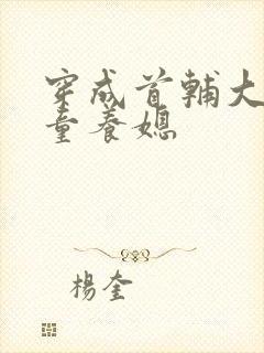 穿成首辅大人的童养媳封面