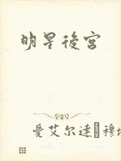 明星后宫