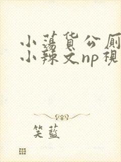 小荡货公厕h文小辣文np视频