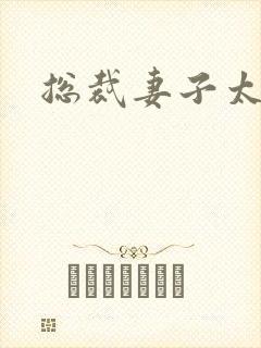 总裁妻子太诱人