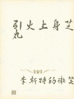 引火上身芝麻糖丸