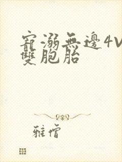 宠溺无边4V2双胞胎