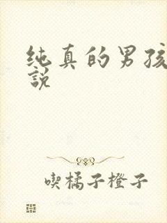 纯真的男孩子小说