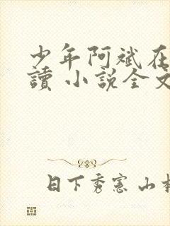 少年阿斌在线阅读 小说全文免费