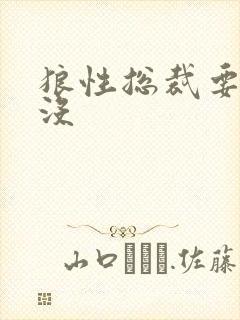 狼性总裁要够了没