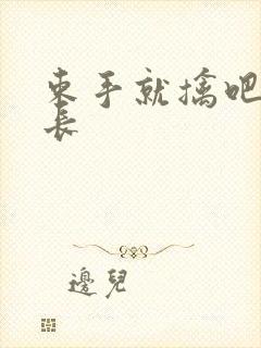 束手就擒吧韩队长