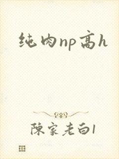 纯肉np高h