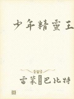 少年精灵王