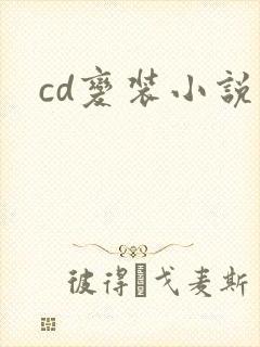 cd变装小说