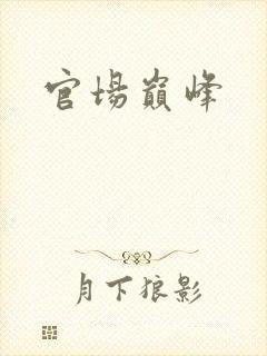 官场巅峰