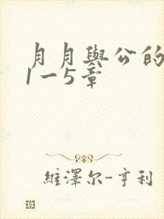 月月与公的激情1一5章