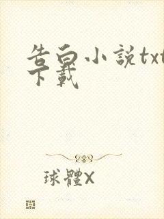 告白小说txt下载