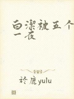 白洁被五个人玩一夜