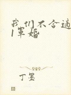 我们不合适1v1军婚