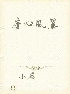 唐心风暴