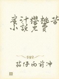 蜜汁樱桃苦咖啡小说免费封面