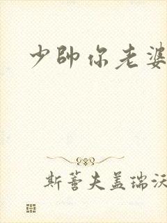 少帅你老婆