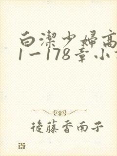 白洁少妇高义第1一178章小说