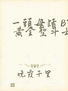 一头母猪 BY 黄金圣斗士