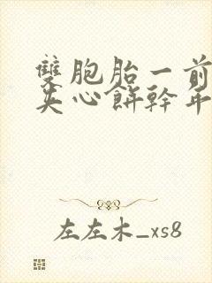 双胞胎一前一后夹心饼干年下