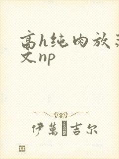 高h纯肉放荡h文np封面