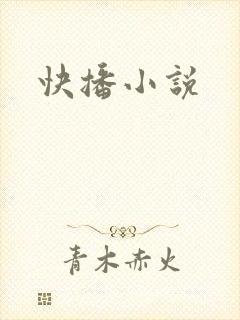 快播小说