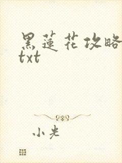 黑莲花攻略手册txt