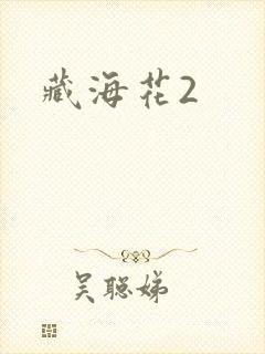藏海花2
